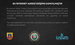 Siber casusluk ağı çökertildi