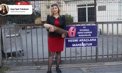 Elinde kazık ile vergi dairesine giden başkandan açıklama!