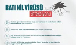 "Batı Nil Virüsü" uyarısı yapıldı