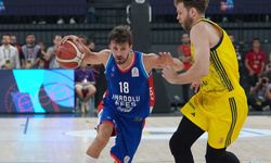 Cumhurbaşkanlığı Kupası Anadolu Efes'in oldu