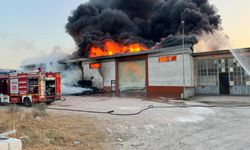 Sanayi sitesi alevlere teslim oldu