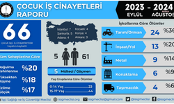 Çocuk işçi ölümlerine yönelik rapor yayınlandı