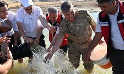 2 milyon yavru sazan balığı baraj göllerine salındı