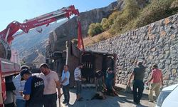 Tır devrildi, küçükbaş hayvanlar telef oldu