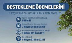 Çiftçiye milyonlarca lira tarımsal destek