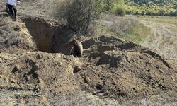 Çukura düşen yavru ayı kurtarıldı