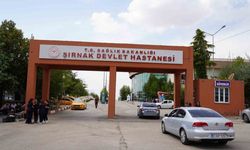 Kadınlar Alzheimer'dan daha fazla etkileniyor