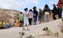 Kapadokya’da Avustralyalı turiste köpek saldırısı