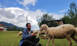 Kaymakam olmak istiyordu, çoban oldu