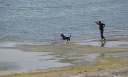 Kayıp Rojin için AFAD’dan köpekli arama