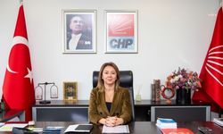 CHP Genel Başkan Yardımcısı'ndan "Ahmet Özer" açıklaması!