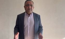 CHP'li Sezgin Tanrıkulu'ndan "yenidoğan çetesi" tepkisi