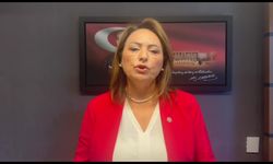 CHP'li vekilden kadın cinayetleri için araştırma önergesi