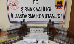 Jandarma ekiplerinden kaçakçılara operasyon