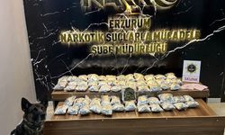 Narkotik köpeği 6 kilo 975 gram skunk buldu