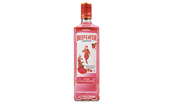 Beefeater Cin Fiyatları 2024