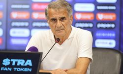 Şenol Güneş: Bir çiçek ile yaz gelmez