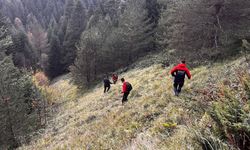 Odun toplamak için ormana gidip hayatını kaybetti