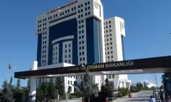 Tarım ve Orman Bakanlığından domuz eti açıklaması