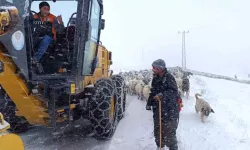 Sürüsü ile yaylada mahsur kaldı