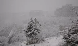 Şırnak kar yağışıyla beyaza büründü