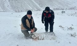 Hayvancılıkla uğraşan yetiştiricinin büyük kaybı