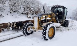 Amasya’da kar yağışı hayatı olumsuz etkiledi