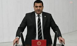 CHP'li Karasu'dan kayyum atamasına tepki!