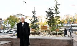 MHP Genel Merkezi önüne "Biz Kardeşiz" temasıyla ağaç dikildi