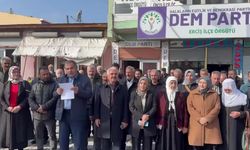 Van Dem Parti ilçe başkanlıklarından ortak açıklama: "Kayyum ve antidemokratik saldırılara son verilmeli"