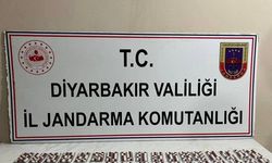 584 adet uyuşturucu hapla yakalandı