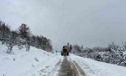 Kapanan köy yolları ulaşıma yeniden açıldı