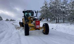 Kar, 182 köy yolunu ulaşıma kapattı!