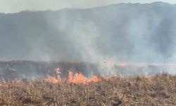 Onlarca kuş türünün yaşadığı Nehil Sazlığı  yanıyor