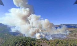 Orman yangınına havadan ve karadan müdahale devam ediyor