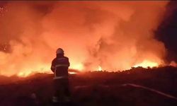 Tarım arazisinde yangın meydana geldi