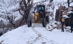 Ulaşım kar engeline rağmen yeniden sağlandı