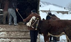 Yaylada mahsur kalan şahıs kurtarıldı