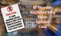 Yasa dışı alkol satışı yapan işletmelere denetim