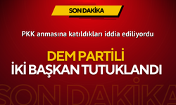 DEM Partili iki başkana tutuklama!