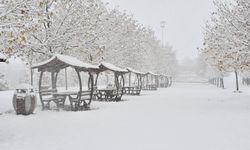 Erzincan’da 26 Kasım Salı günü okullara kar tatili!