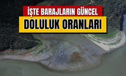 İstanbul barajlarında doluluk oranı alarm veriyor