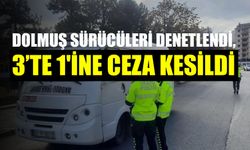 Dolmuş sürücüleri denetlendi, 3’te 1'ine ceza kesildi