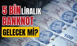 5 bin liralık banknot istemi gerçekleşecek mi?