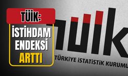 TÜİK, istihdam endeksini açıkladı