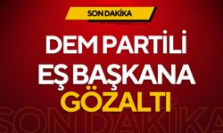 DEM Partili Cengiz Dündar ve gazetecilere gözaltı!