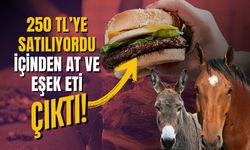 Hamburgerin içinden at eti çıktı!