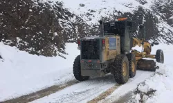 Kardan dolayı kapanan 98 köy yolu açıldı