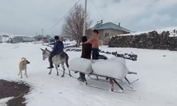 Hayvan yetiştiricilerinin 2 bin 150 rakımda zorlu kış mesaisi başladı