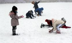 Çorum'un bir ilçesinde kar tatili!